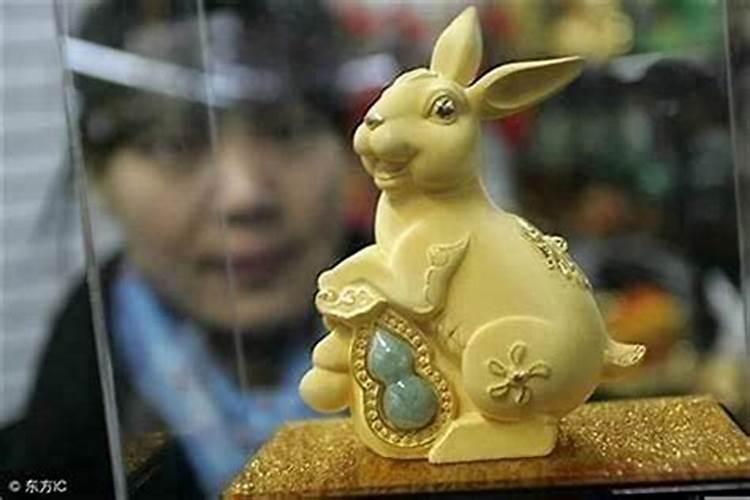 水兔命是什么命