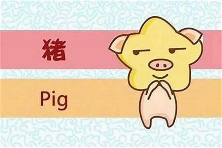 什么属相最旺属猪的人？
