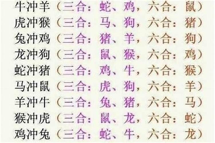 属马的属相和什么属相不合？