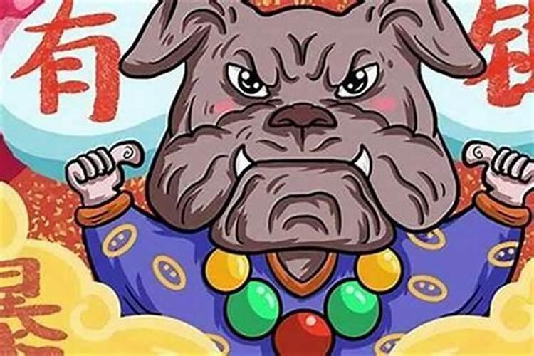 属狗几月最好？