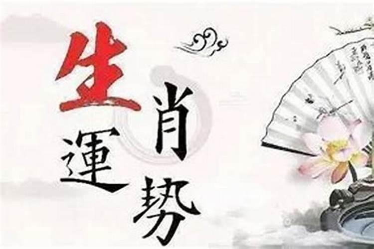 偏财格女命好吗？