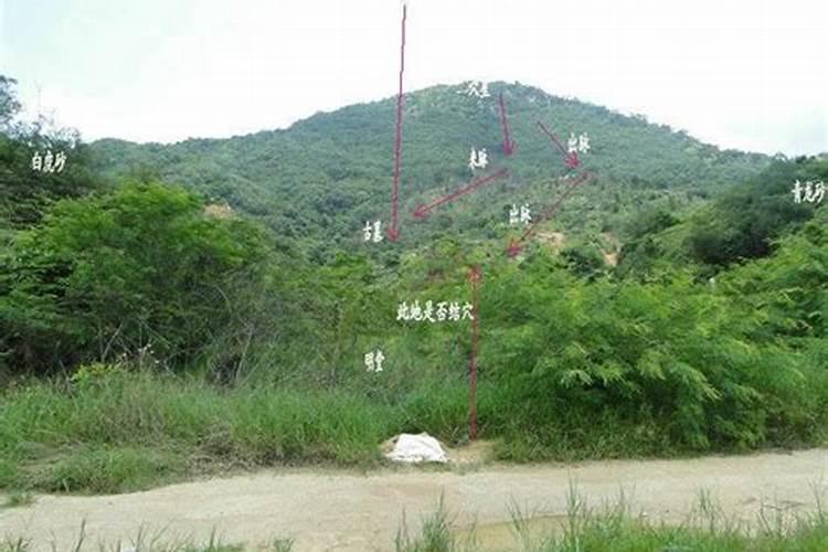 揭秘风水宝地：如何辨识并选择建房子的理想之地？
