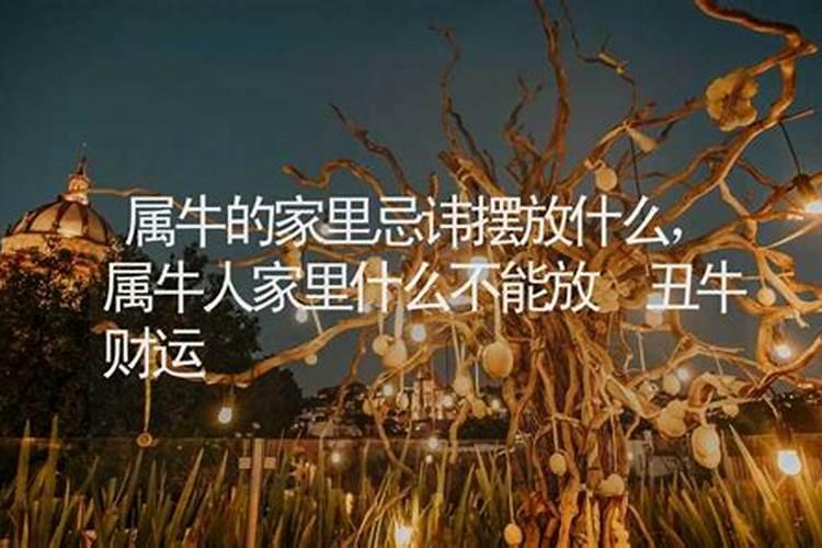 属羊的家里忌讳摆放什么？