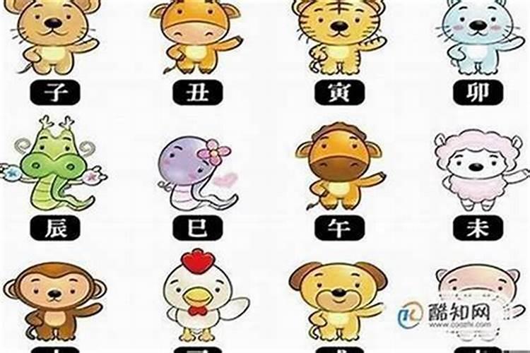 十二生肖中哪个属相最好男孩？