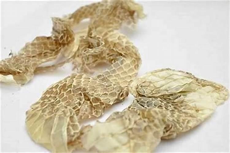 蛇在坟头上寓意什么