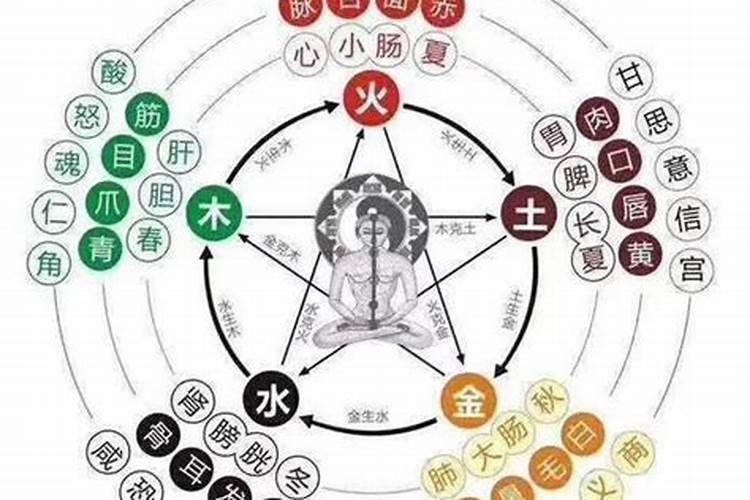 生、克、制、化