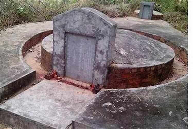 坟地最怕出什么蛇：风水学中的神秘力量？