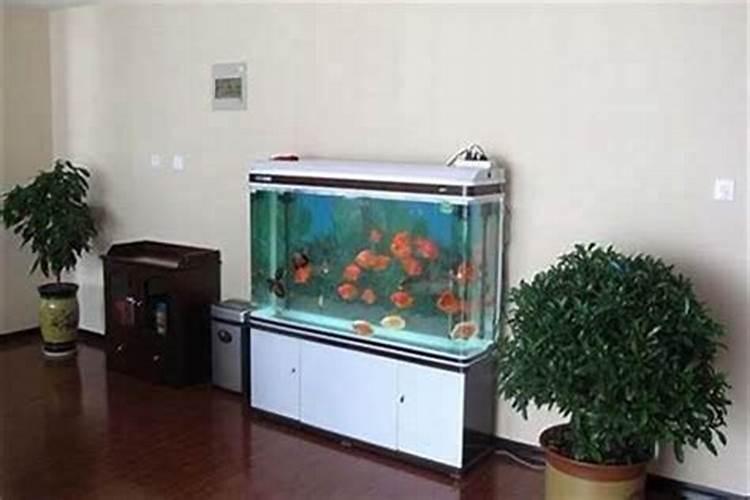 鱼缸放哪里风水好？
