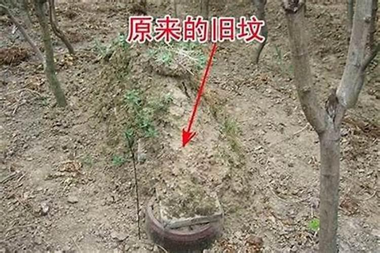 寻找龙脉：风水宝地的选择之道
