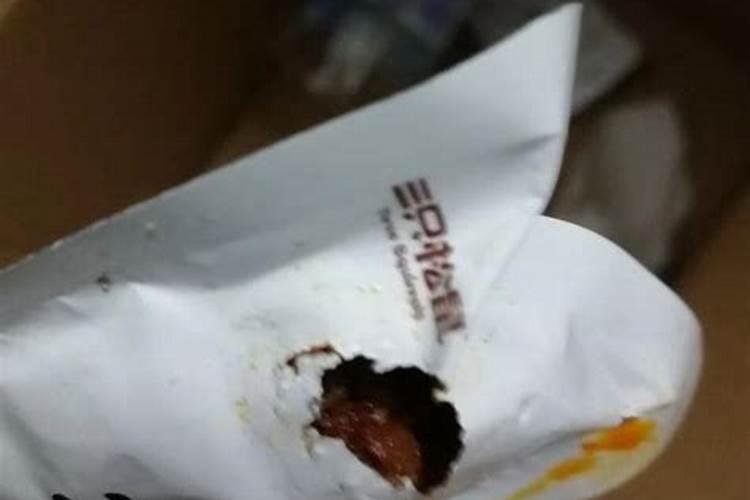 梦境的隐喻：当老鼠在梦中咬我