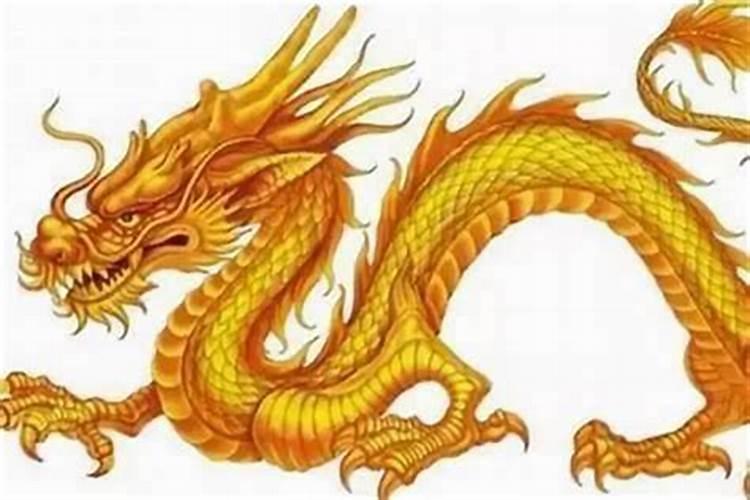 透视属龙2025年的财富迷雾：运势解析与实用指南