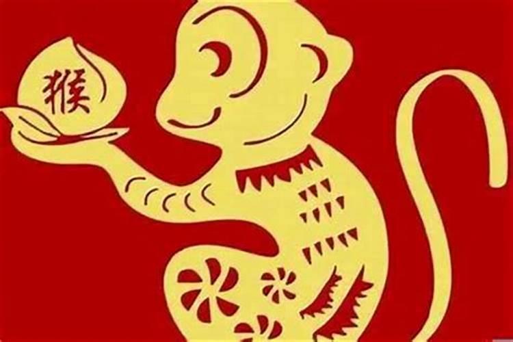 猴与什么生肖最适合？