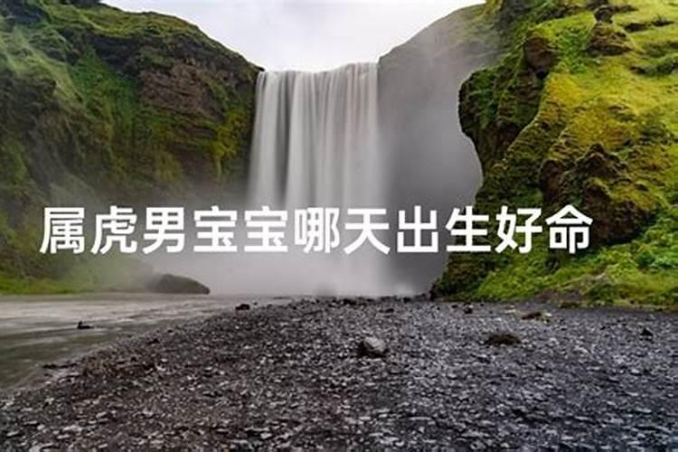 属什么的女生命好？