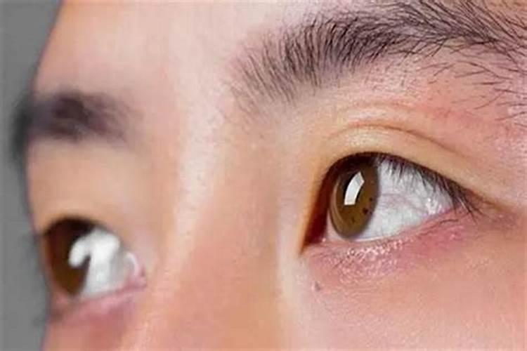 未时右眼跳是什么预兆？
