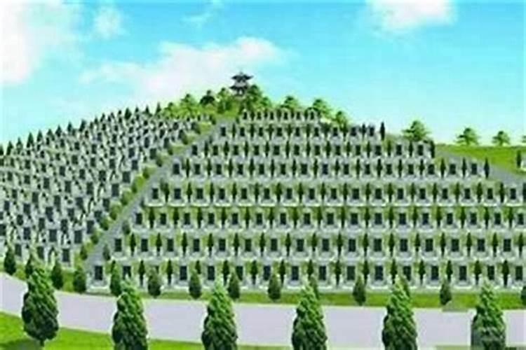 水土墓于辰：风水学角度解析