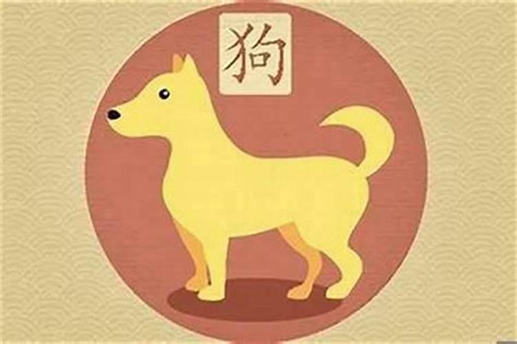 揭秘生肖相冲：狗与哪些属相不和？