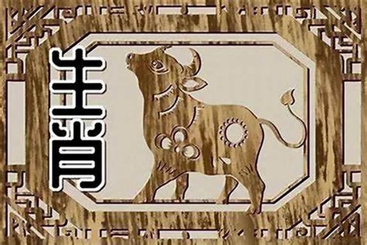 揭秘生肖相冲：属龙与属牛的神秘面纱