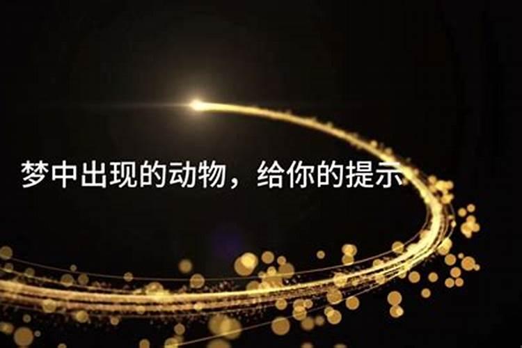 潜行梦境：解读梦见蛇缠身的深层含义
