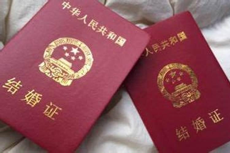 晚上看见蜘蛛寓意好吗