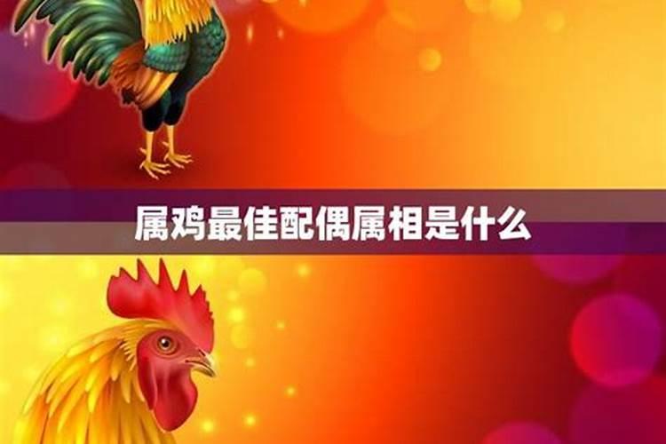 金鸡报晓：揭秘属鸡人的最佳配偶属相