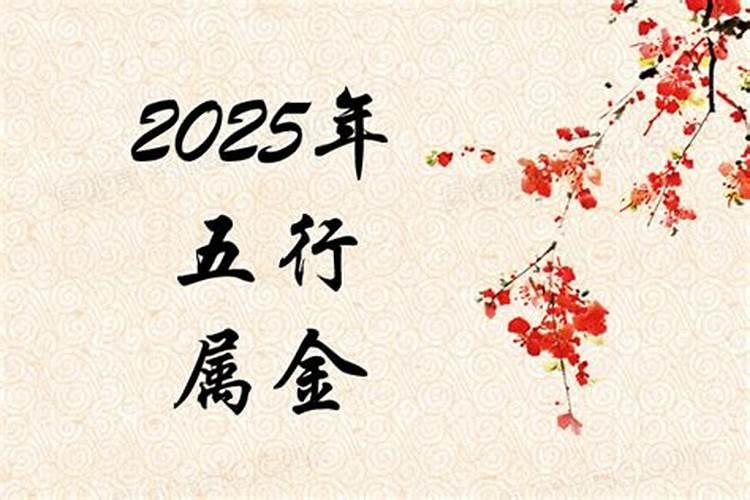 2025年属什么生肖五行属什么？
