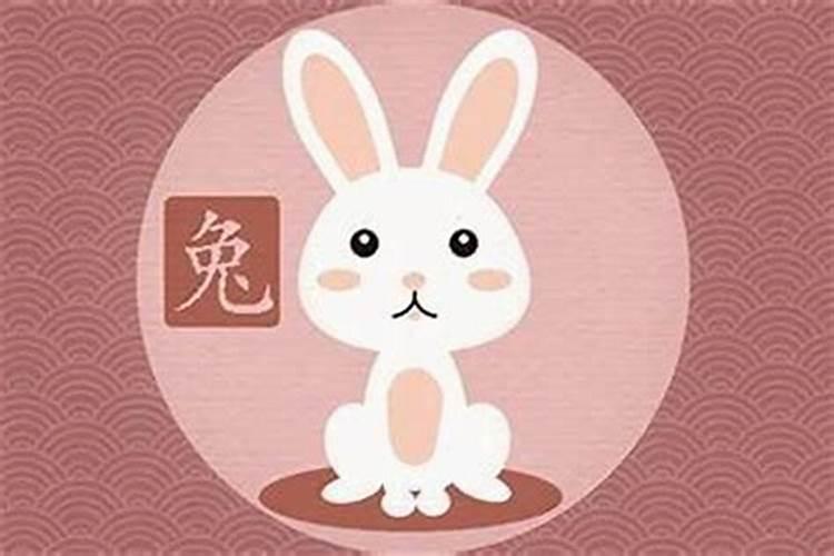 属兔的你，与哪个属相最相配？探索生肖间的和谐之道