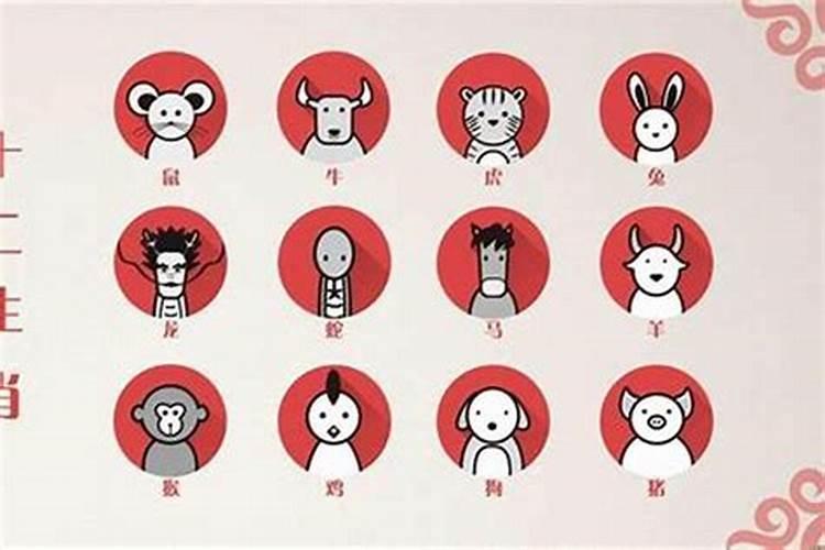 中国有钱人最多的属相是哪一个？