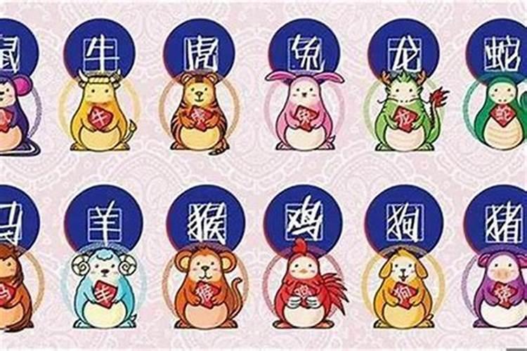 十二生肖属什么最好命运女？