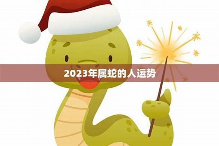 揭秘2025年属蛇人的运势密码：智慧与机遇的交织之旅