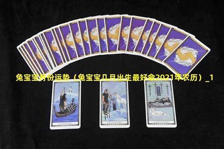兔宝宝几月出生最好命
