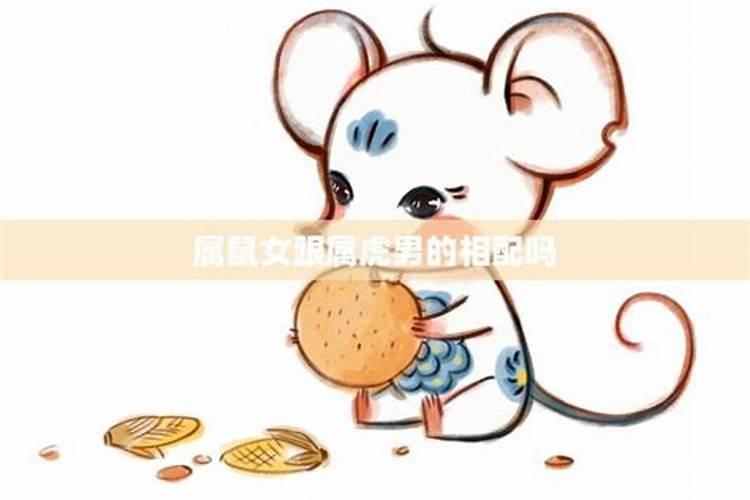 揭秘属鼠男性的婚配秘诀：寻找最匹配的属相伴侣
