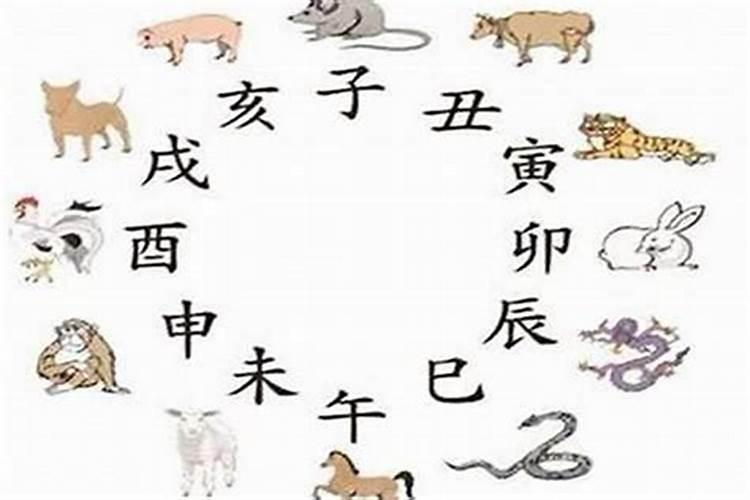属猪与属羊：天作之合还是性格迥异？