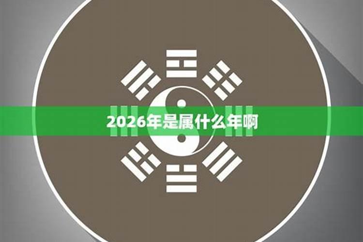 2026年属什么生肖？