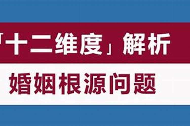 龙年婚姻：幸福与否的多维透视？