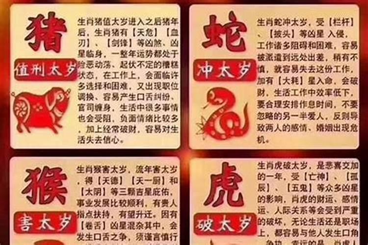 明年是什么年？？？