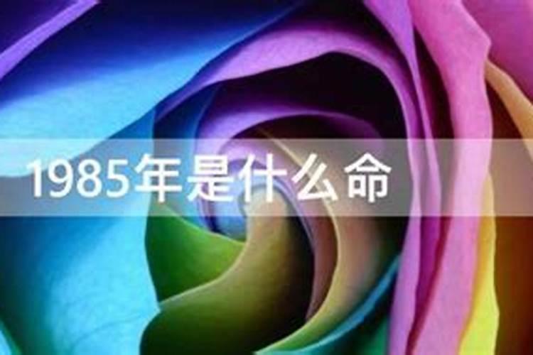 1985年是什么命年？