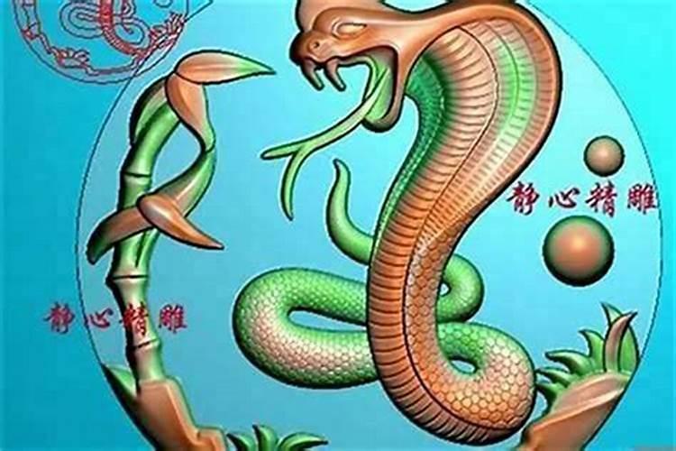 蛇犬相配：探索属蛇与属狗婚姻的和谐之道