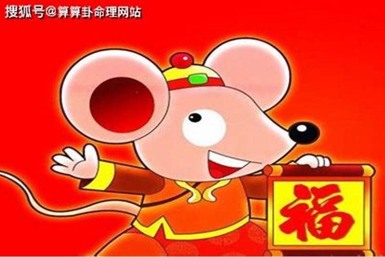 属鼠的1996年是什么命？