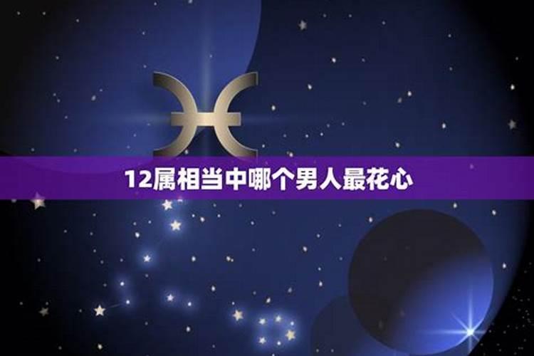 什么属相的男人最花心？