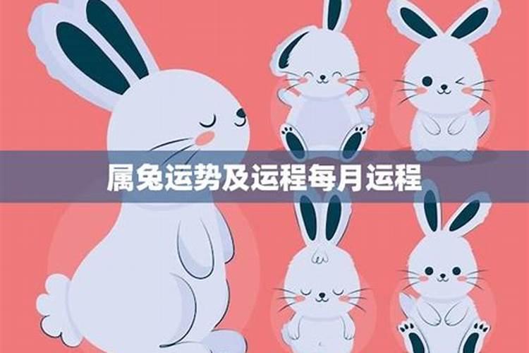 属兔2025年的运势如何？