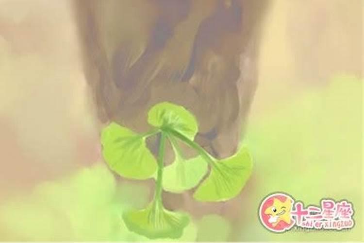 梦见丢汽车什么预兆？