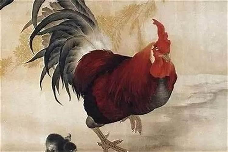 1981年属鸡的今天财运好不好？