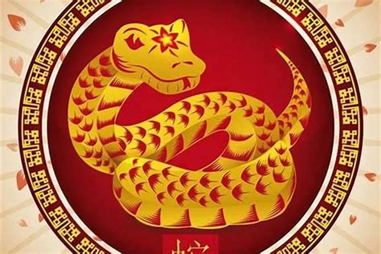 蛇年华章：1977属蛇的命运解析