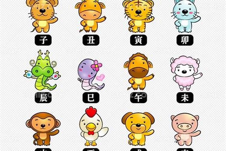 四个生肖可以组成多少个三肖？