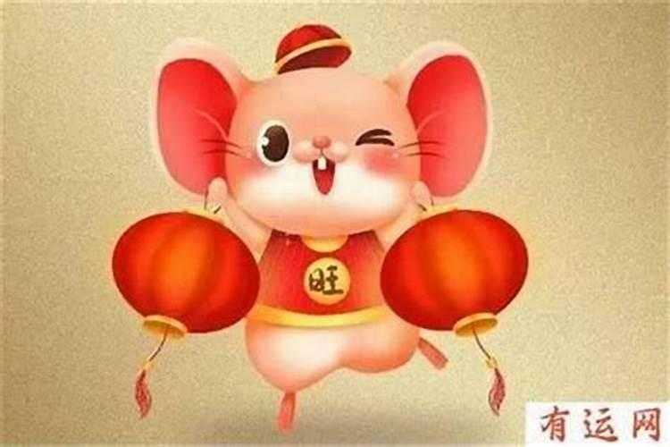 今年属鼠的财运和运气如何？