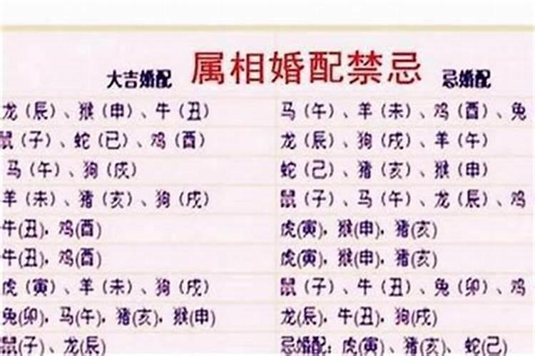 属虎的人婚配什么属相最好呢？