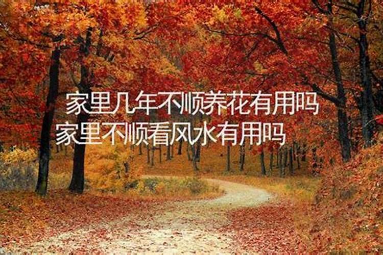 家里不顺可以看风水吗？