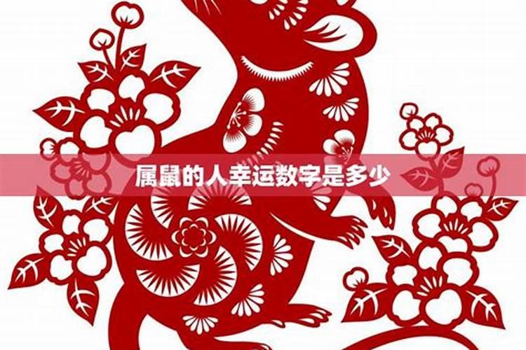 揭秘属鼠人的幸运色彩：如何根据生肖选择吉利服饰？