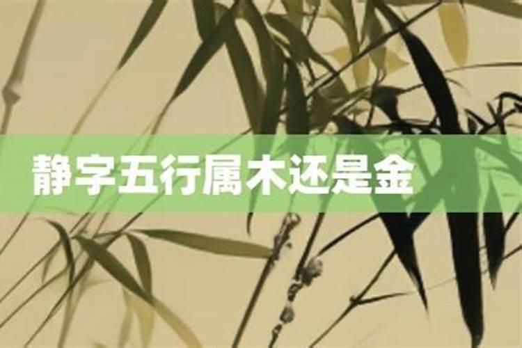 春字属木还是金