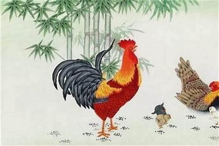属鸡人今天牌运怎样
